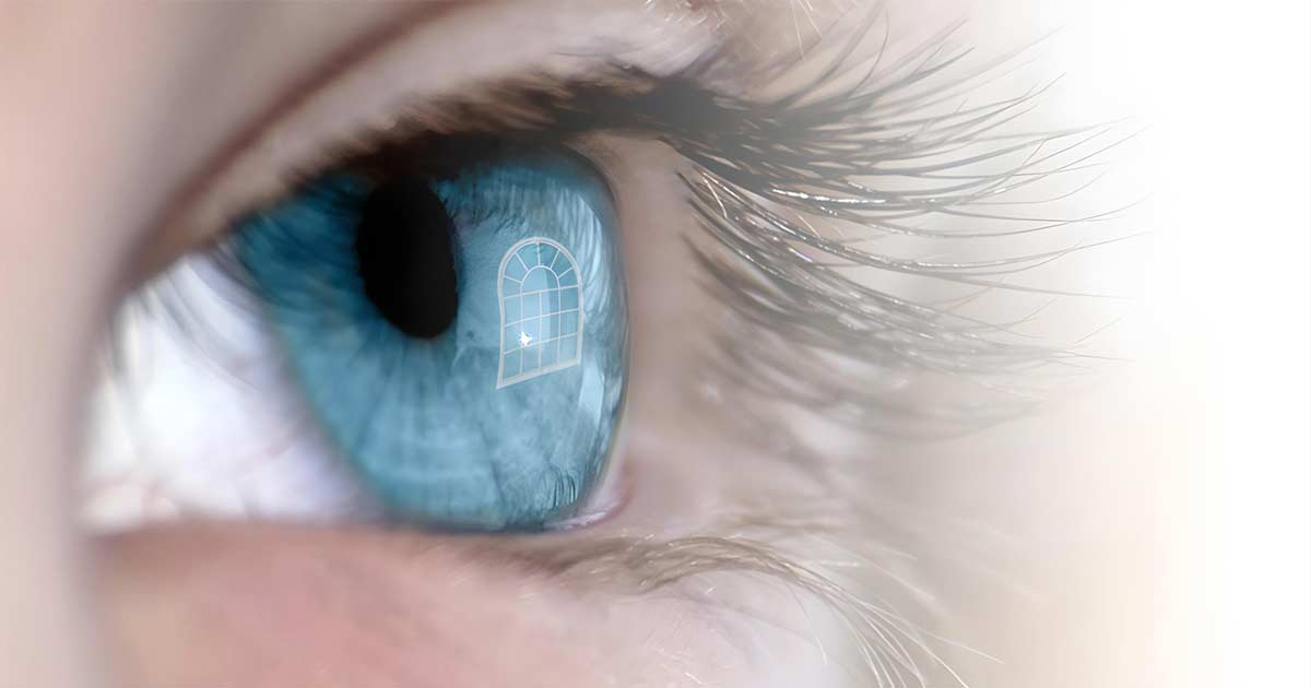 Self-cleaning windows will make you and your eyes happier