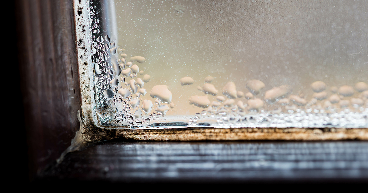 Ice buildup on patio door due to condensation - hard wood floor damage