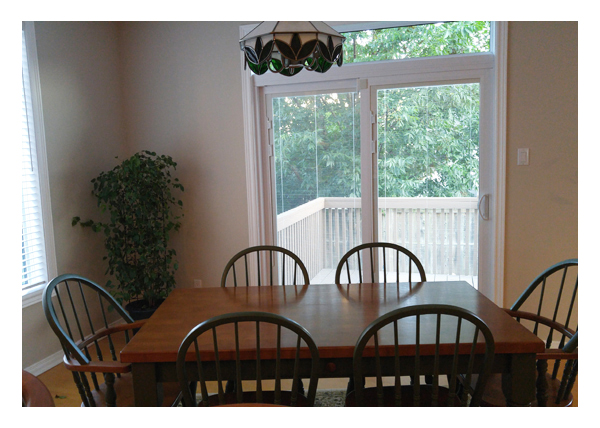Gallery Image > North Star Patio Door - With interior blind option