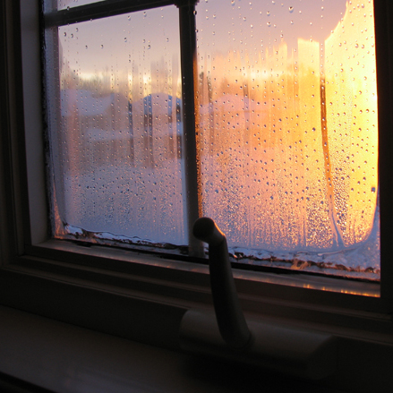 Condensation (window)